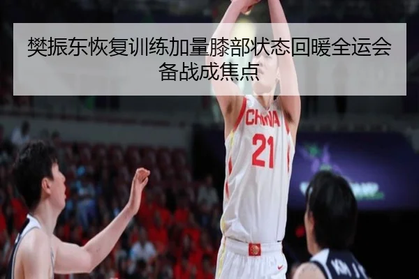樊振东恢复训练加量膝部状态回暖全运会备战成焦点